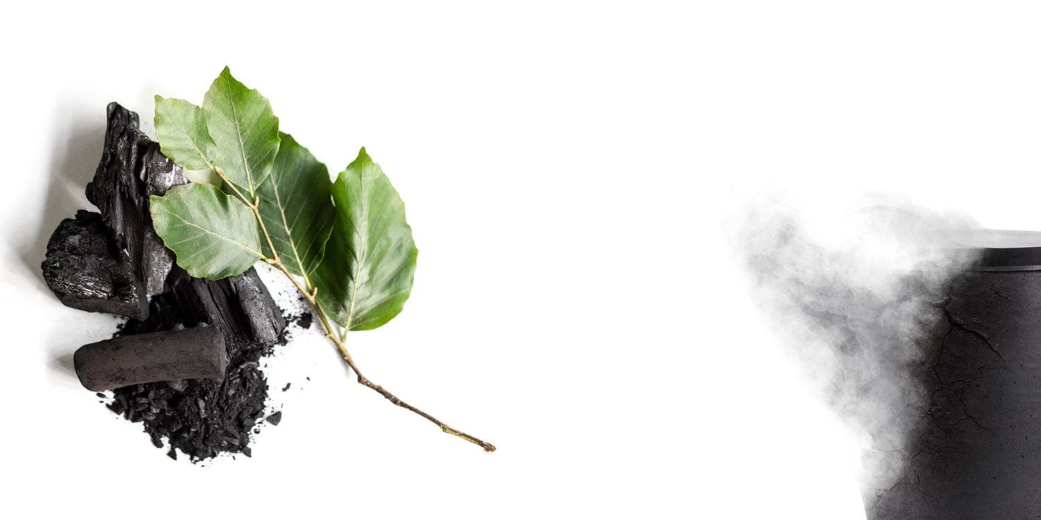Buchenholzkohle mit grünen Blättern als Symbol für nachhaltige und biologisch abbaubare Kohleurne im Einklang mit der Natur